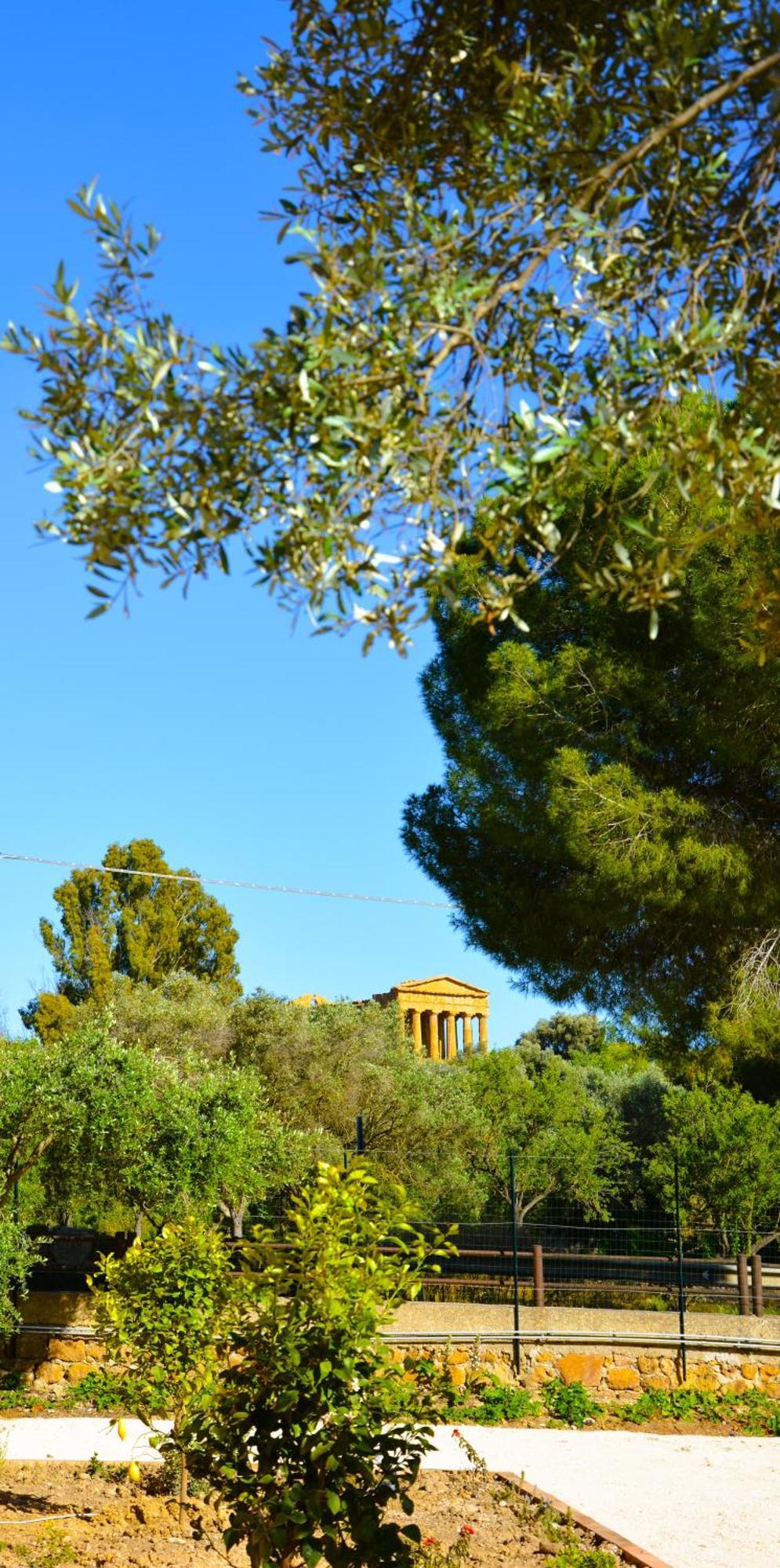 Bed and Breakfast Il Giardino Del Tempio Agrigento Exterior foto